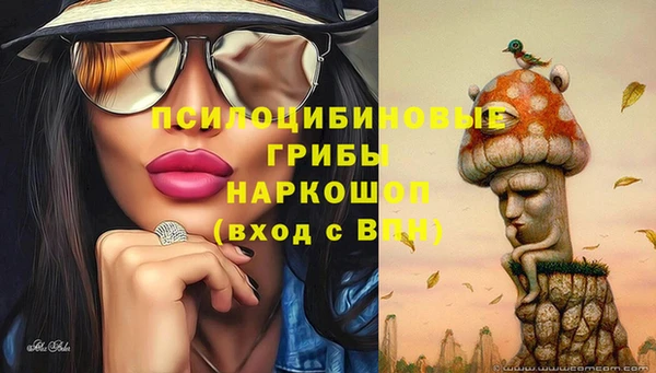 шишки Иннополис